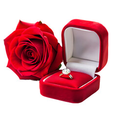 valentines day marry me wedding engagement ring