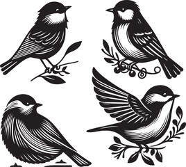 Obraz premium bird vectore illastration