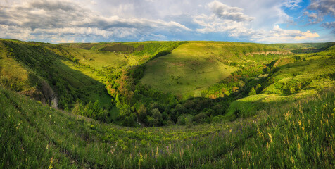 rural spring landscape with sunrise, a blossoming flowers meadow. panorama sunrise. Nature of Ukraine