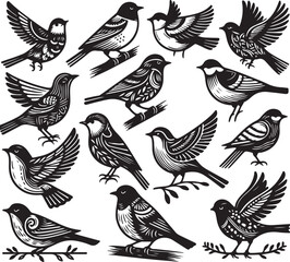 bird vectore illastration