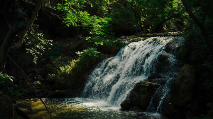 Fototapeta premium Photography of the Waterfall On Lush. Nature photography.