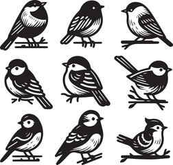 bird vectore illastration