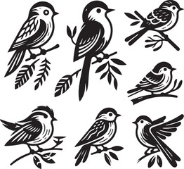 bird vectore illastration