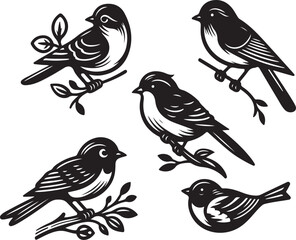 bird vectore illastration