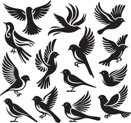 Obraz premium bird vectore illastration