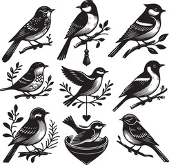 bird vectore illastration