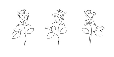 One line rose flowers, vector drawing