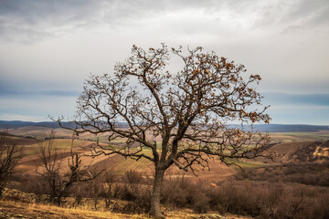 Grota Haiducilor, DN22D 12, Caugagia, Europe, Romania, 2024 year