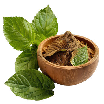 Kava Kava Transparent Background Png Image	