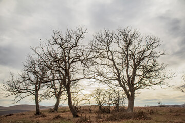 Grota Haiducilor, DN22D 12, Caugagia, Europe, Romania, 2024 year