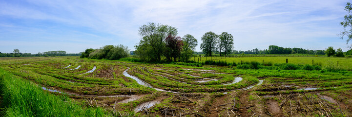 Panoramic photo of an agricultural landscape with tractor tire tracks crisscrossing each other, which are filled with rainwater. With forests in the background and a blue cloudy sky.