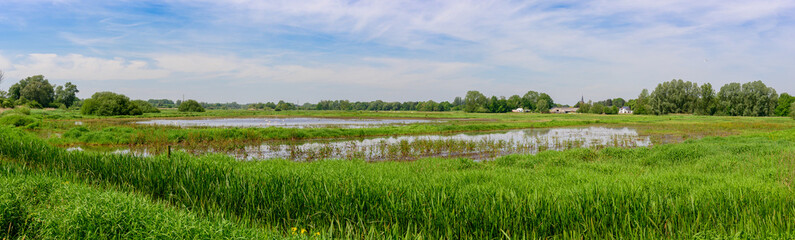 A panoramic photo of 4 different photos. The photo shows a nature reserve with water that serves as a breeding ground for birds, with a blue sky with white clouds. 
