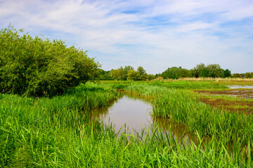 Fototapeta premium Photo with a river through a green nature reserve, with a blue sky with white clouds