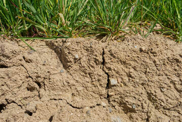 Cracks in the ground due to drought in 2024