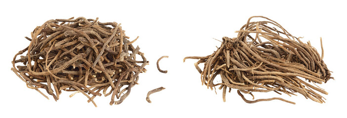 Dried Valerian root isolated on white background. Valeriana officinalis with full depth of field.