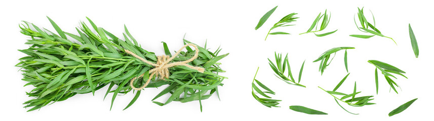 Fototapeta premium tarragon or estragon isolated on a white background. Artemisia dracunculus