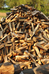A mountain of firewood with a hand chopping block. Chopped firewood for the winter