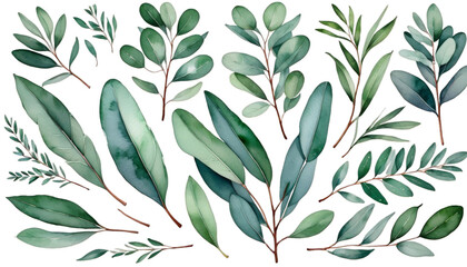 greenery emerald eucalyptus style retro clipart watercolor green leaf botanical drawing illustration decoration nature plant summer vintage wedding chaplet background design isolated white floral