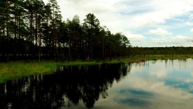 Swamp Viru Raba in Estonia