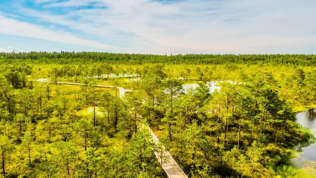 Swamp Viru Raba in Estonia