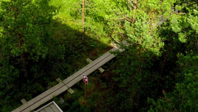 Swamp Viru Raba in Estonia