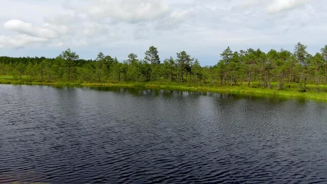 Swamp Viru Raba in Estonia