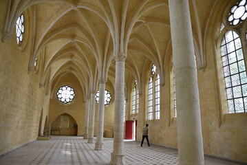 Fototapeta premium Voûtes à croisées d'ogives de l'abbaye Saint-Jean-des-Vignes à Soissons. France