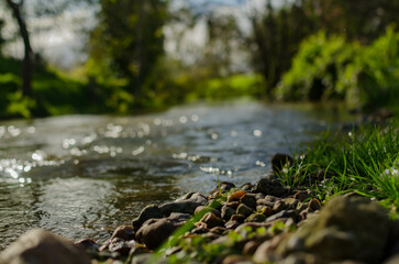 water flowing in the forest