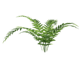 pianta, albero, fusto, con, senza, vaso, e, foglie, arancioni, verdi, gialle, rosse, fondo trasparente, isolato, cactus, alberi, impianto, pentola, foglia, fiore, natura, isolata, pianta da appartamen