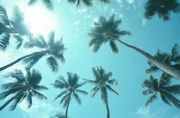 group of palm trees with the sun shining through the clouds.