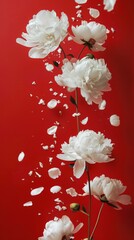 A bunch of white flowers on a red background