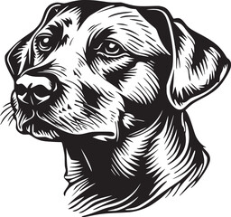 Dog, puppy hand drawn line style vector illustration isolated on white background