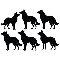Set of Arabian Wolf black Silhouette Vector on a white background