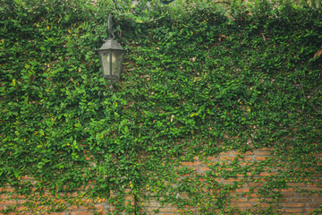 Antique lamp on brick wall with plants