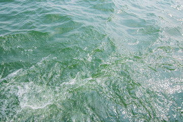 The blue-green water surface in It features gentle ripples on the surface and refraction of light.