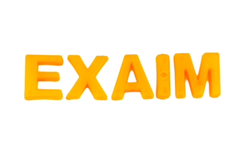 Yellow Letters EXAIM isolate no white background.png