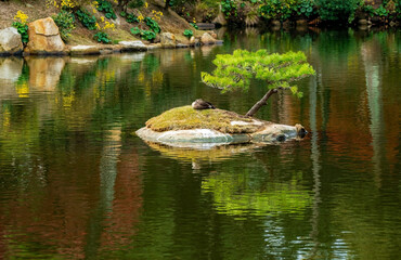  Shukkeien Gardens in Hiroshima, Japan