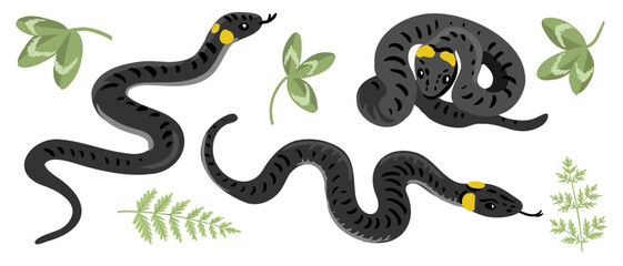 vector drawing ringed snakes and green leaves isolated at white background, hand drawn illustration