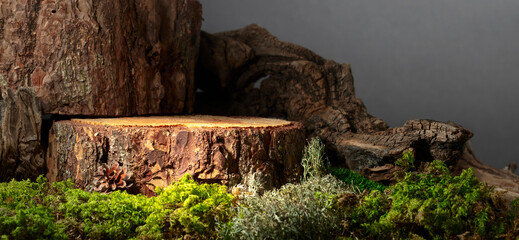 Composition with natural wood, moss and lichen for advertising eco products.