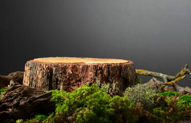 Composition with natural wood, moss and lichen for advertising eco products.