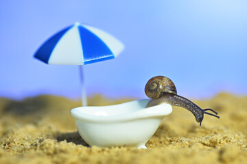 snail in the bath on the beach. rest by the sea. conceptual macro photo on the theme of vacation
