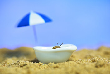 snail in the bath on the beach. rest by the sea. conceptual macro photo on the theme of vacation
