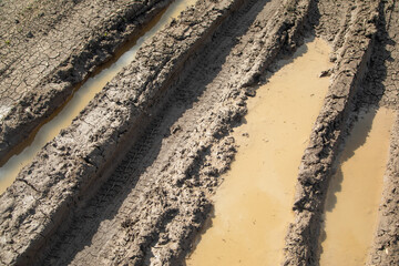  Dirty ground road in the nature at spring time.