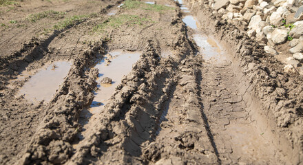  Dirty ground road in the nature at spring time.