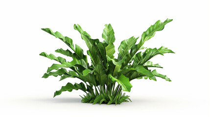 green leaves isolated on white background