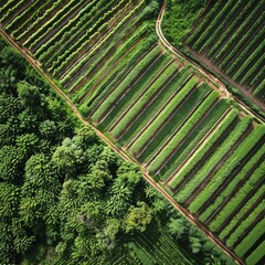 Precision Agriculture and Sustainable Farming Techniques