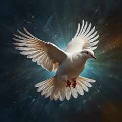 Fototapeta premium white dove flying