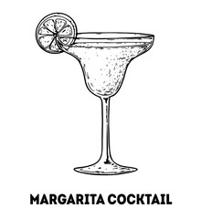 Margarita cocktail illustration. Hand drawn sketch. Vector illustration. Isolated object.