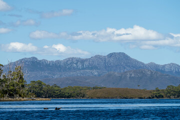 Beautiful Rocky Mountain over a lake in a beautiful park. Wilderness landscape with no people. Stunning bush and forest by the sea and ocean.