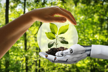 Robot hand and human hand holding a young plant against green sunny forest background. Sustainable...